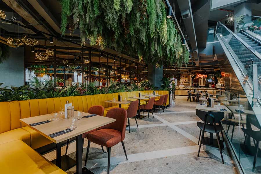 Festacci restaurant interior detail showing food counter and decorative lighting