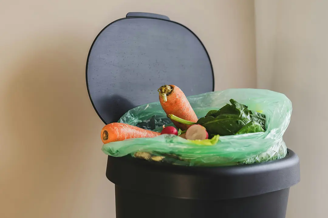 The Power of a Waste Log