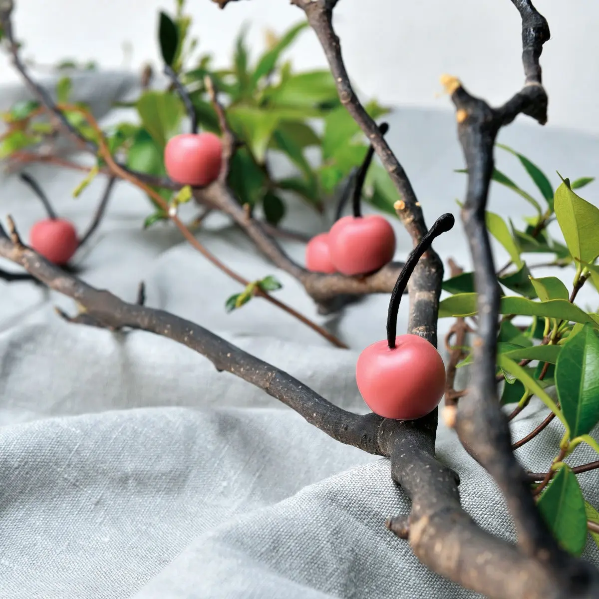 GG016 Cherry