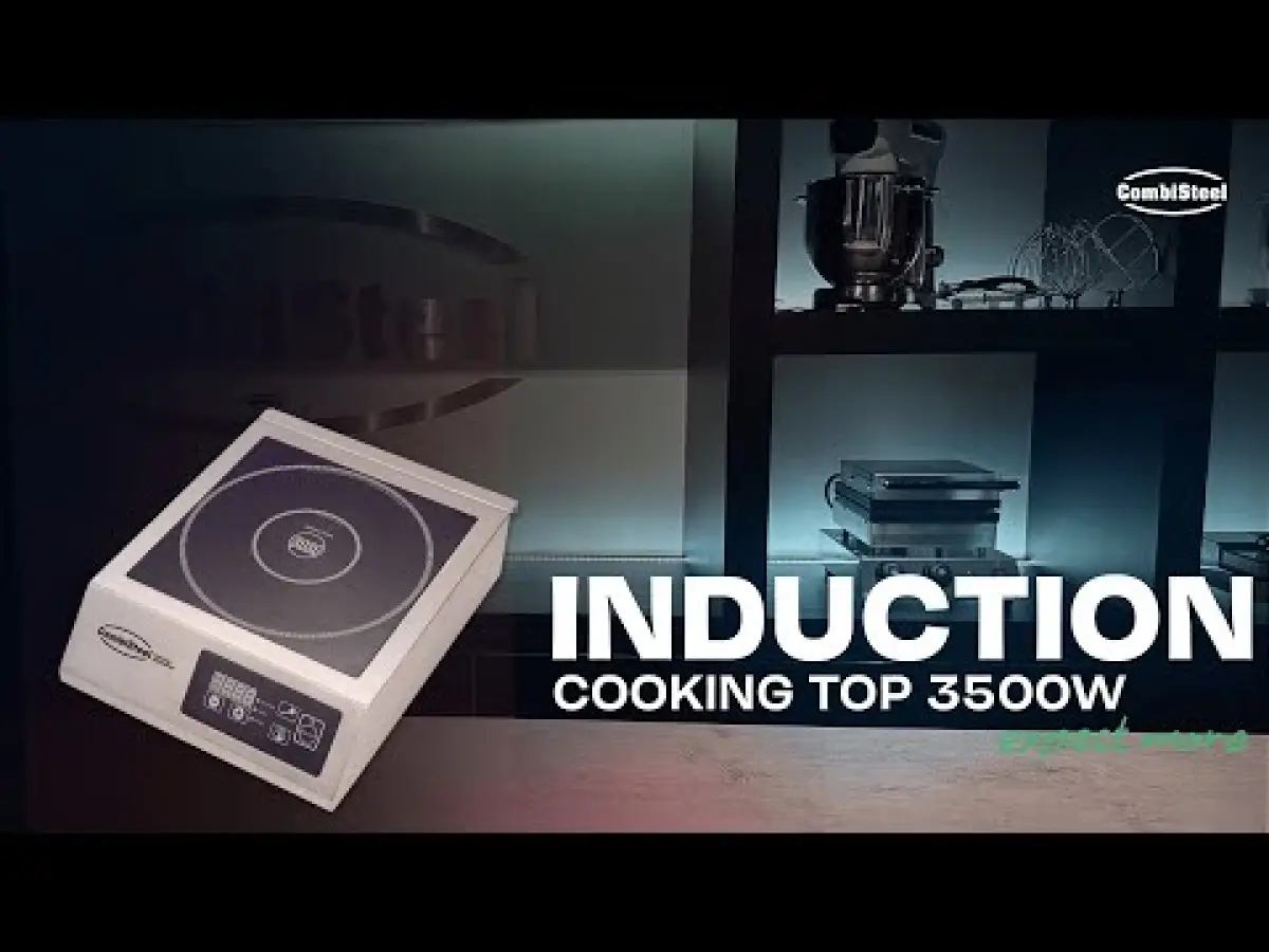 PROFESSIONAL INDUCTION HOT PLATE