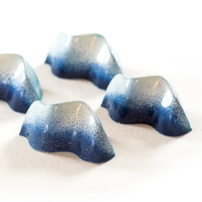 Bonbons praline mould
