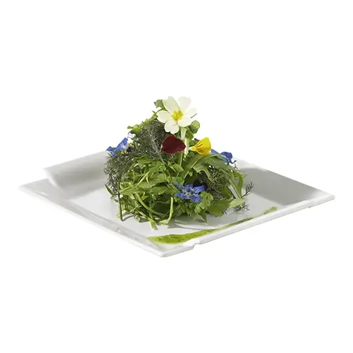 Plate 31x31cm