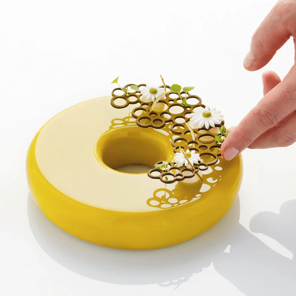 PR004 Circles 1