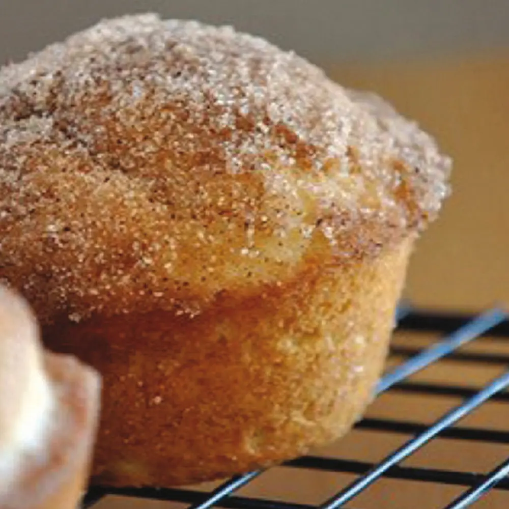 PX002 Muffin