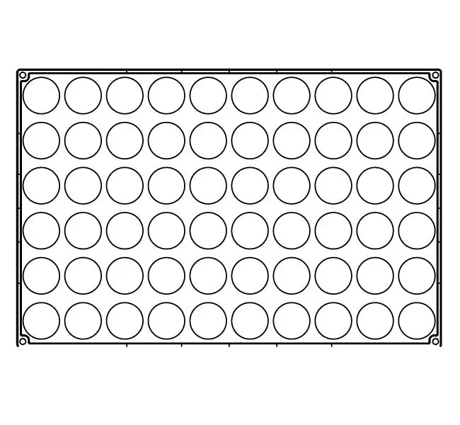 PX301 MINI TARTS