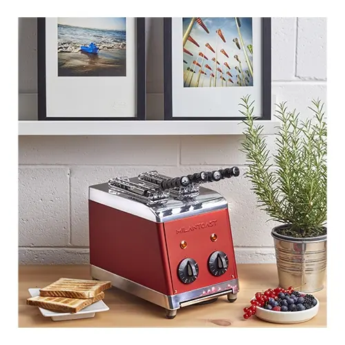 Sandwich Toaster |2-tongs|