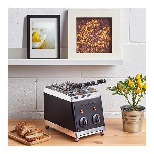 Sandwich Toaster |2-tongs|