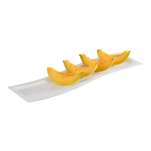 Serving Dish GN2/4