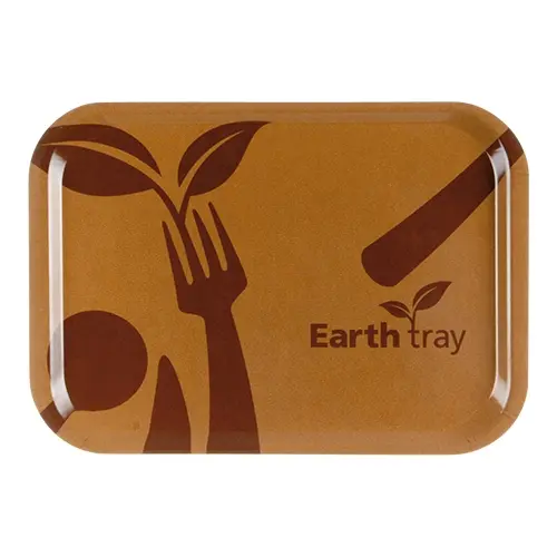 Serving Tray GN1/1