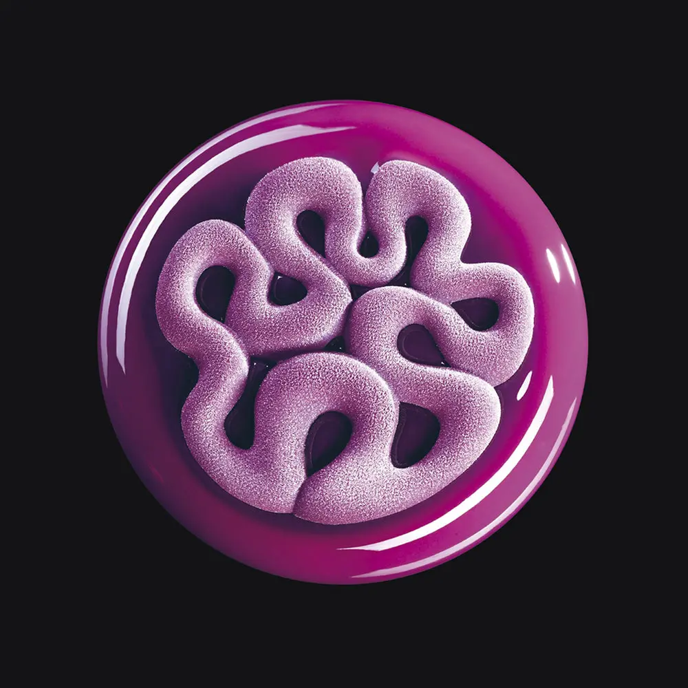 TOP15 Jelly